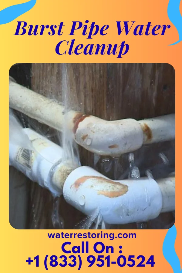 Burst Pipe Water Cleanup in Atwood, KS