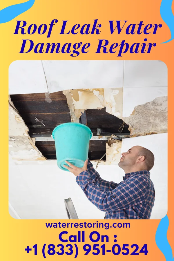 Roof Leak Water Damage Repair in Atwood, KS