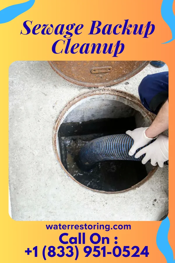 Sewage Backup Cleanup in Atwood, KS